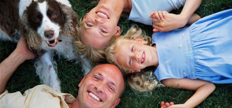 How to Afford Pet Care for Your Pet How to Afford Pet Care for Your Pet