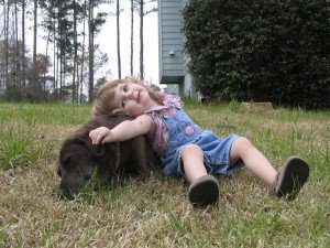 Do You Pay Enough Attention to Your Pets? Do You Pay Enough Attention to Your Pets?