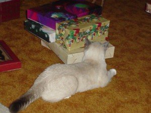Pet Gifts Pet Gifts